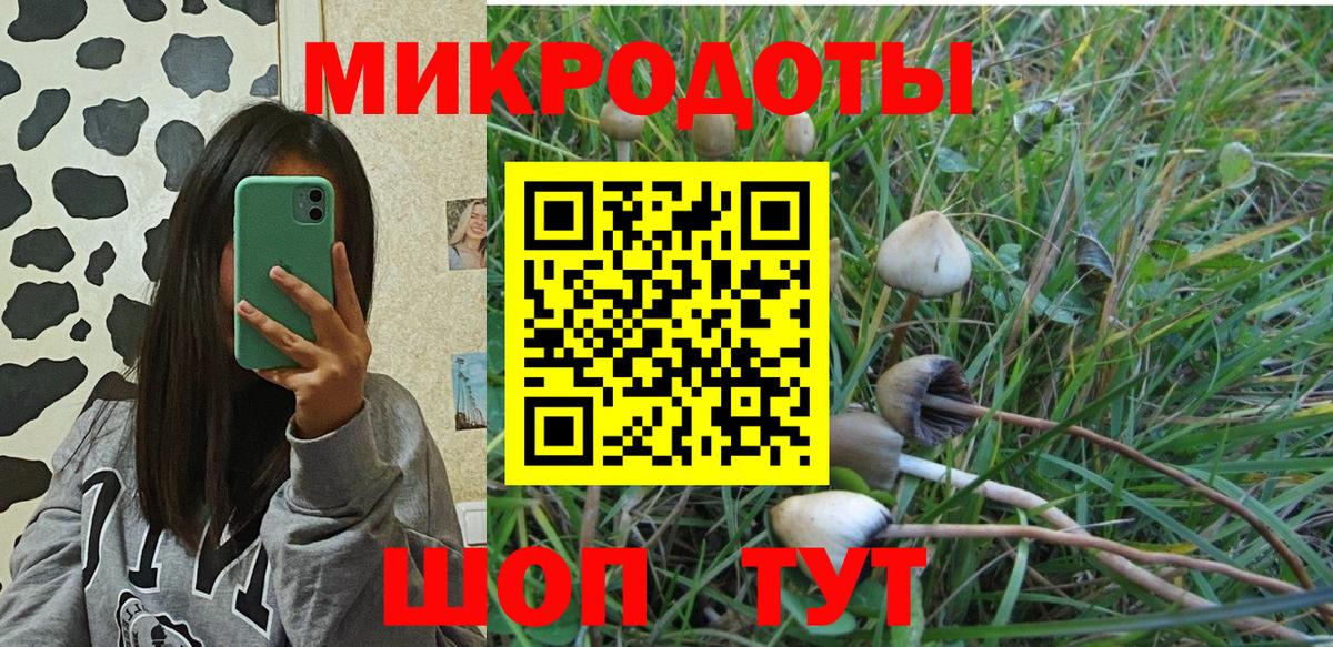 Галлюциногенные грибы Psilocybine cubensis Щёкино