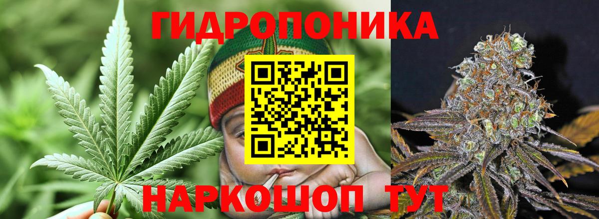 Бошки марихуана марихуана Щёкино